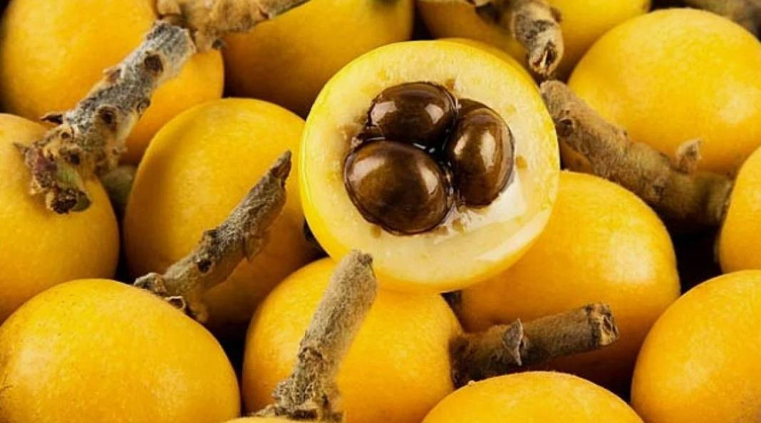 Çekirdeği bile şifa oluyor kanseri de durduruyor. Hasadı erken başladı tarlada kilosu 10 TL - Resim: 5